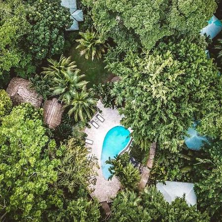 Copal Tree Lodge A Muy'Ono Resort Toledo District المظهر الخارجي الصورة