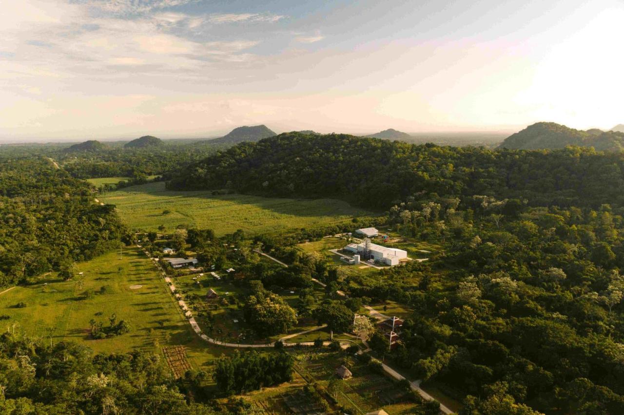Copal Tree Lodge A Muy'Ono Resort Toledo District المظهر الخارجي الصورة