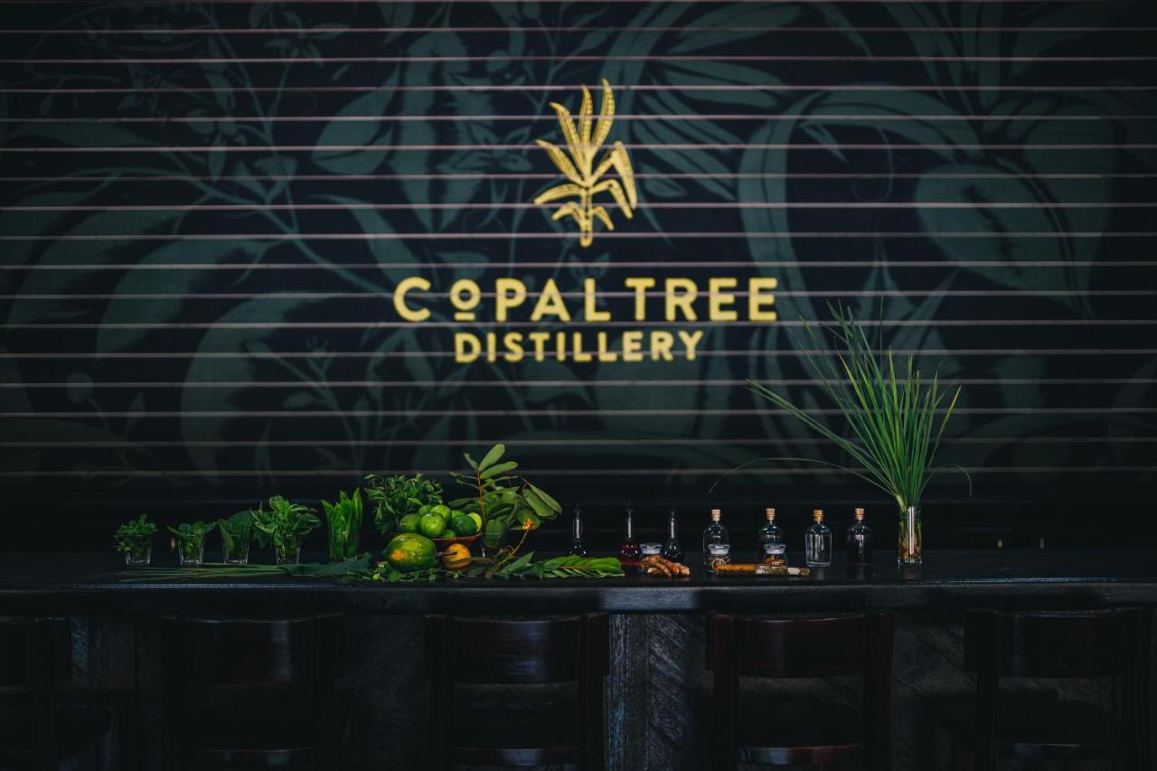 Copal Tree Lodge A Muy'Ono Resort Toledo District المظهر الخارجي الصورة