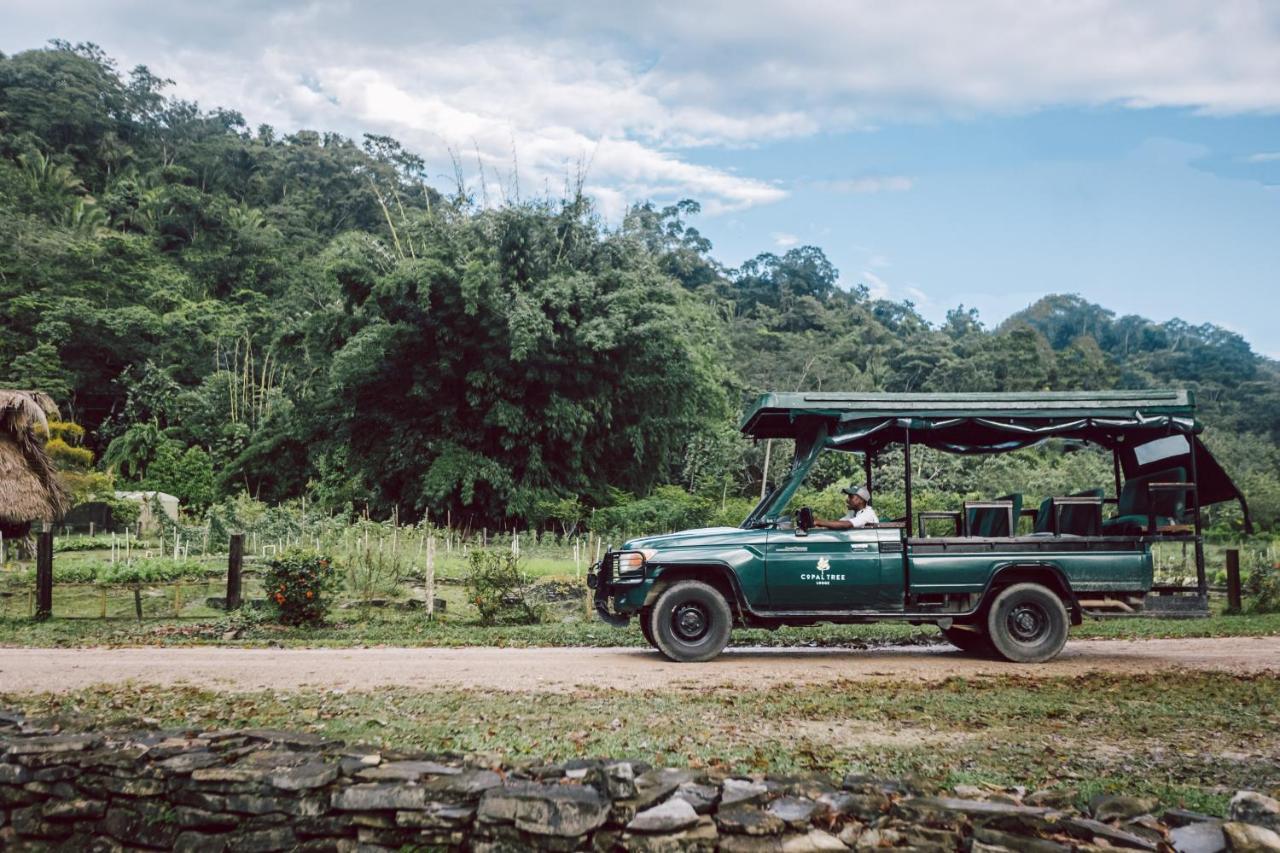 Copal Tree Lodge A Muy'Ono Resort Toledo District المظهر الخارجي الصورة