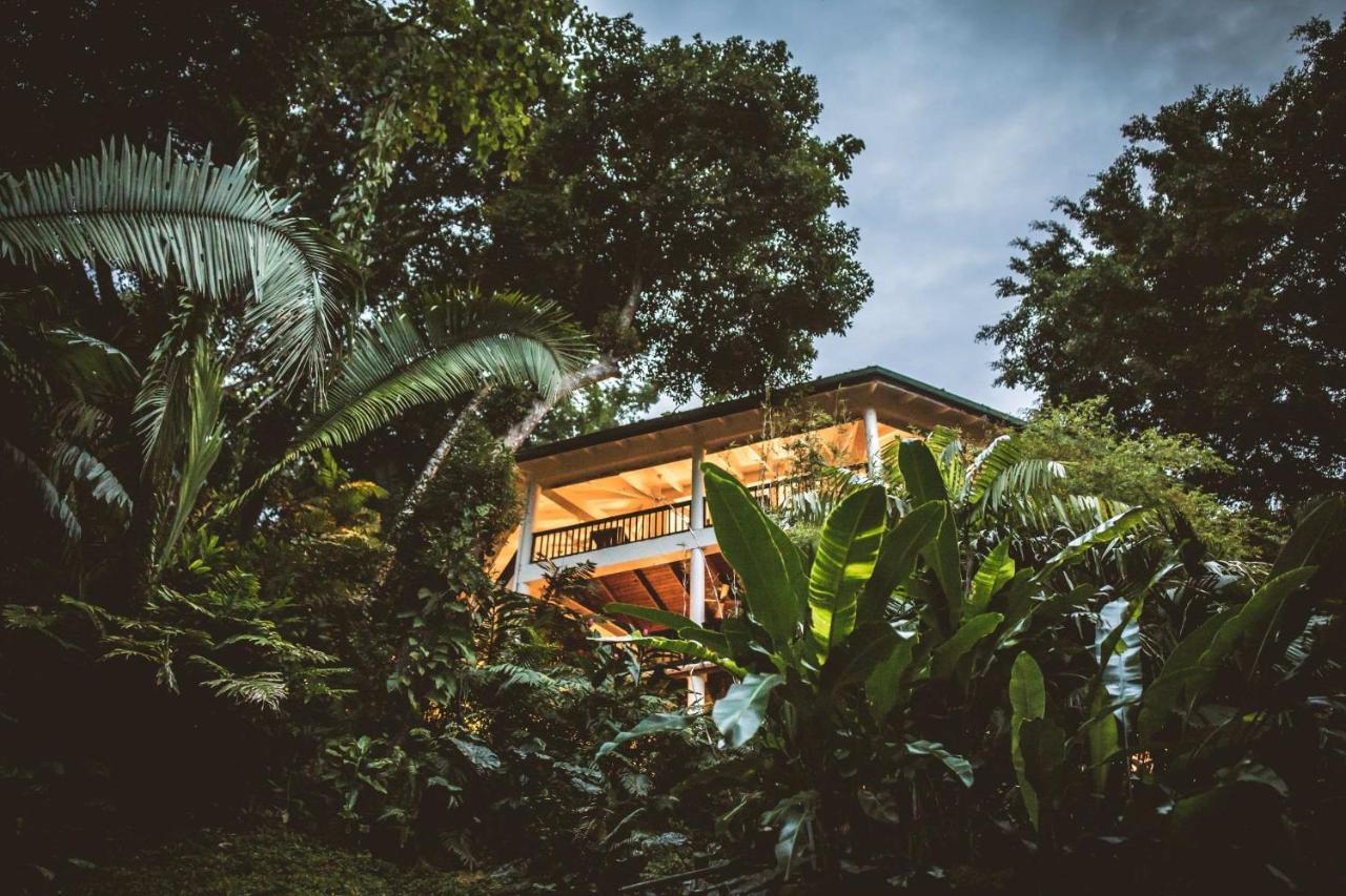 Copal Tree Lodge A Muy'Ono Resort Toledo District المظهر الخارجي الصورة