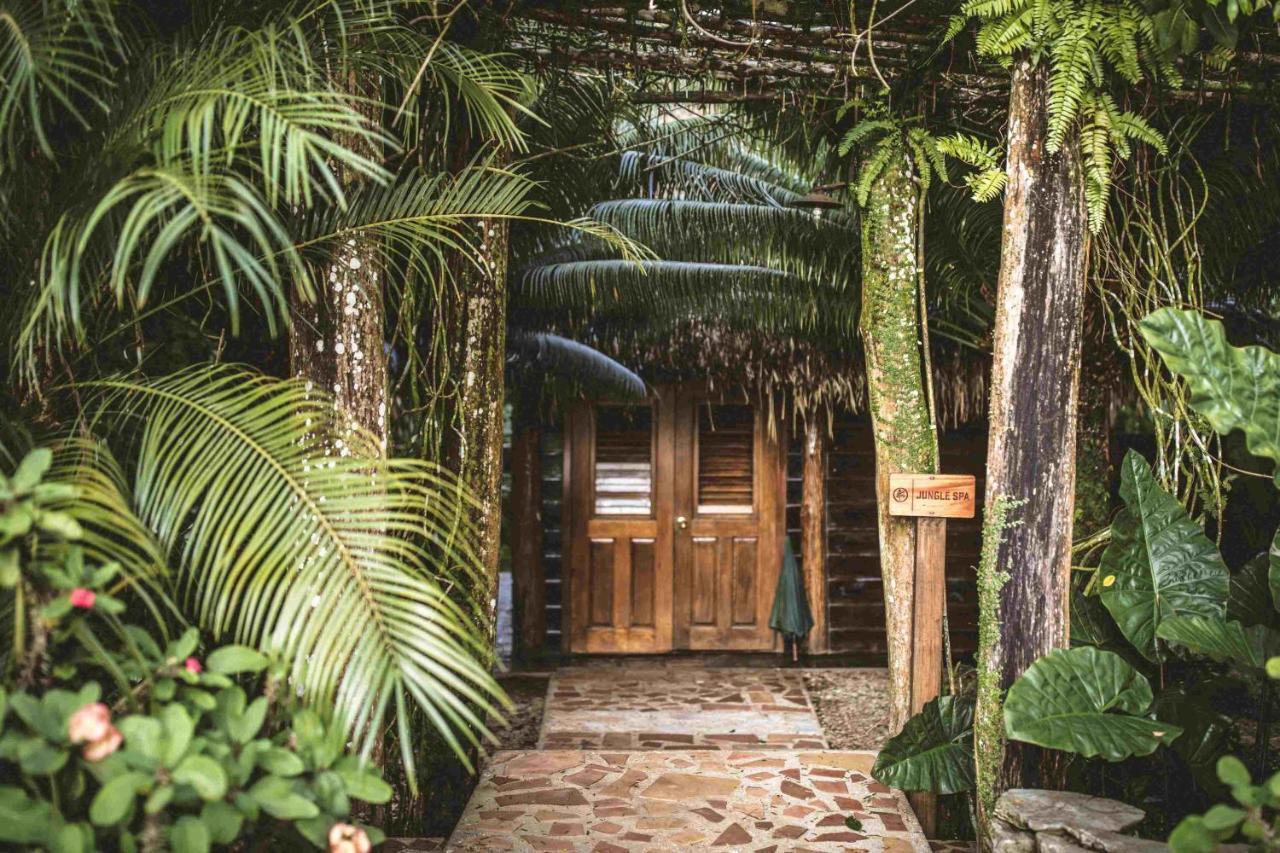 Copal Tree Lodge A Muy'Ono Resort Toledo District المظهر الخارجي الصورة